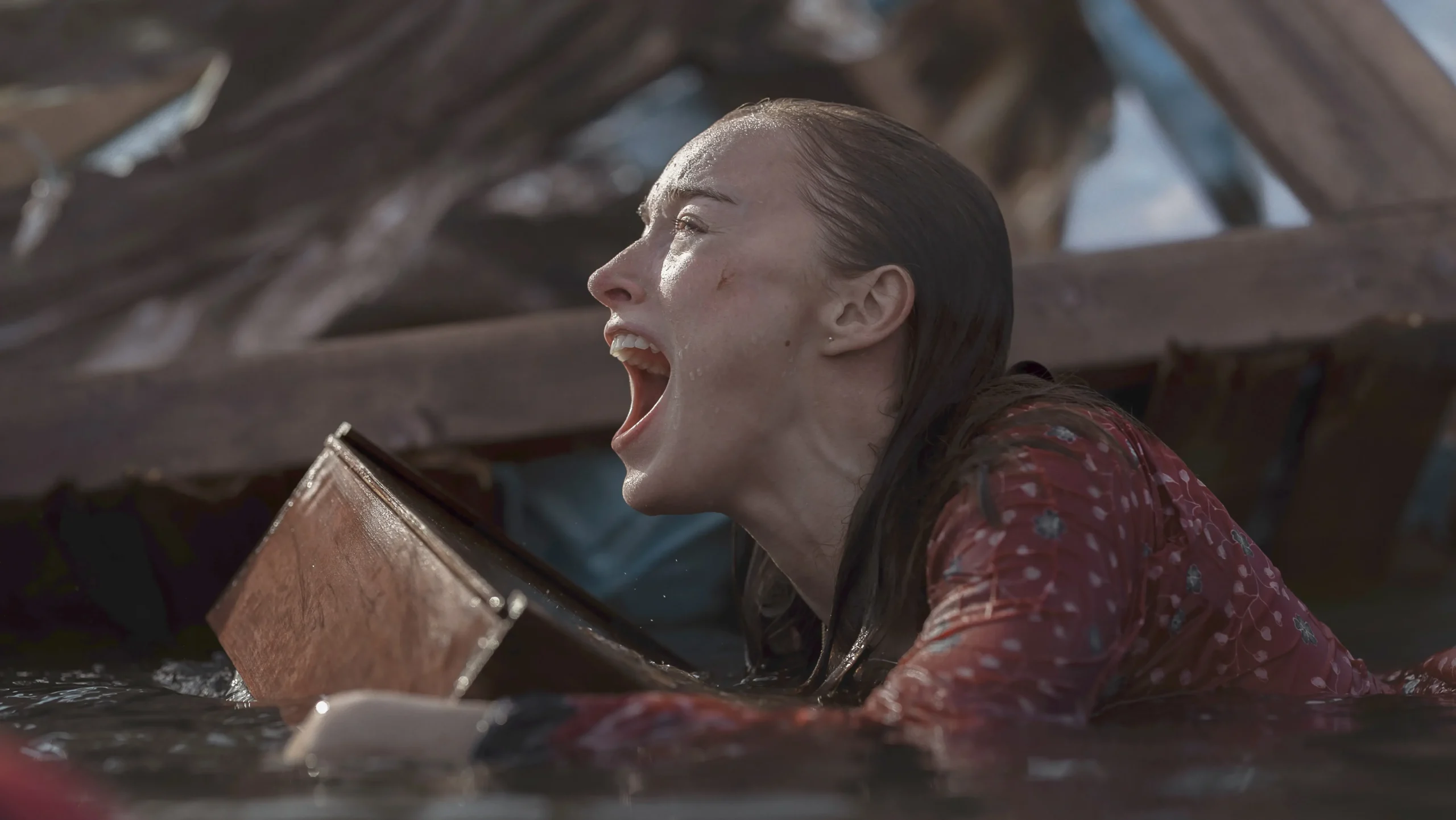 ‘Thrash’: First Seems and April Premiere Space for Netflix Shark Thriller With Unusual Title