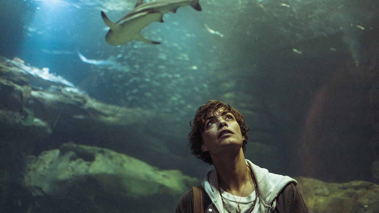 ‘Below Paris 2’: Every thing We Know About The Netflix Sequel So A long way